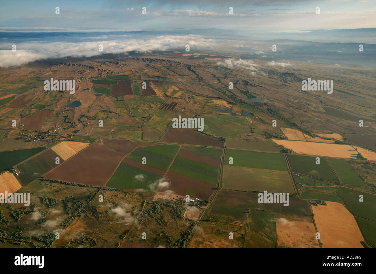 Un mosaico di campi di fattoria dal di sopra in Wyoming, STATI UNITI D'AMERICA. Foto Stock
