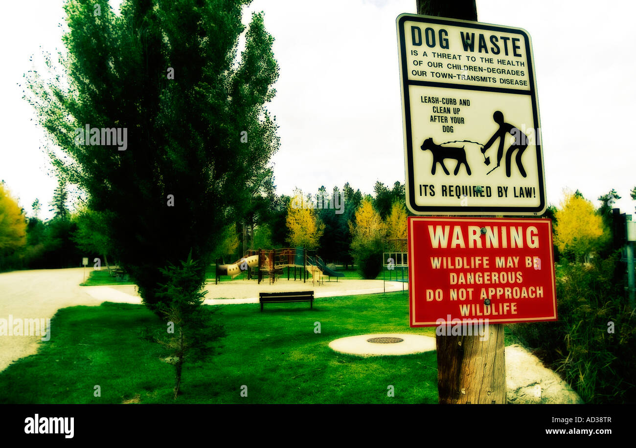 Il parco cittadino. Pinedale. Stato del Wyoming. Stati Uniti d'America Foto Stock