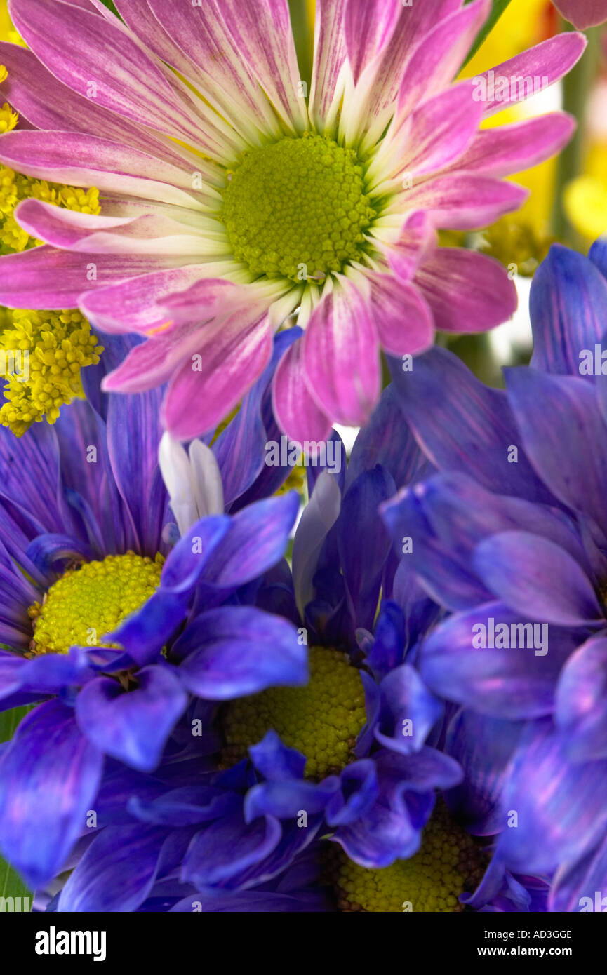 Fiori da un fiorista bouquet. Foto Stock