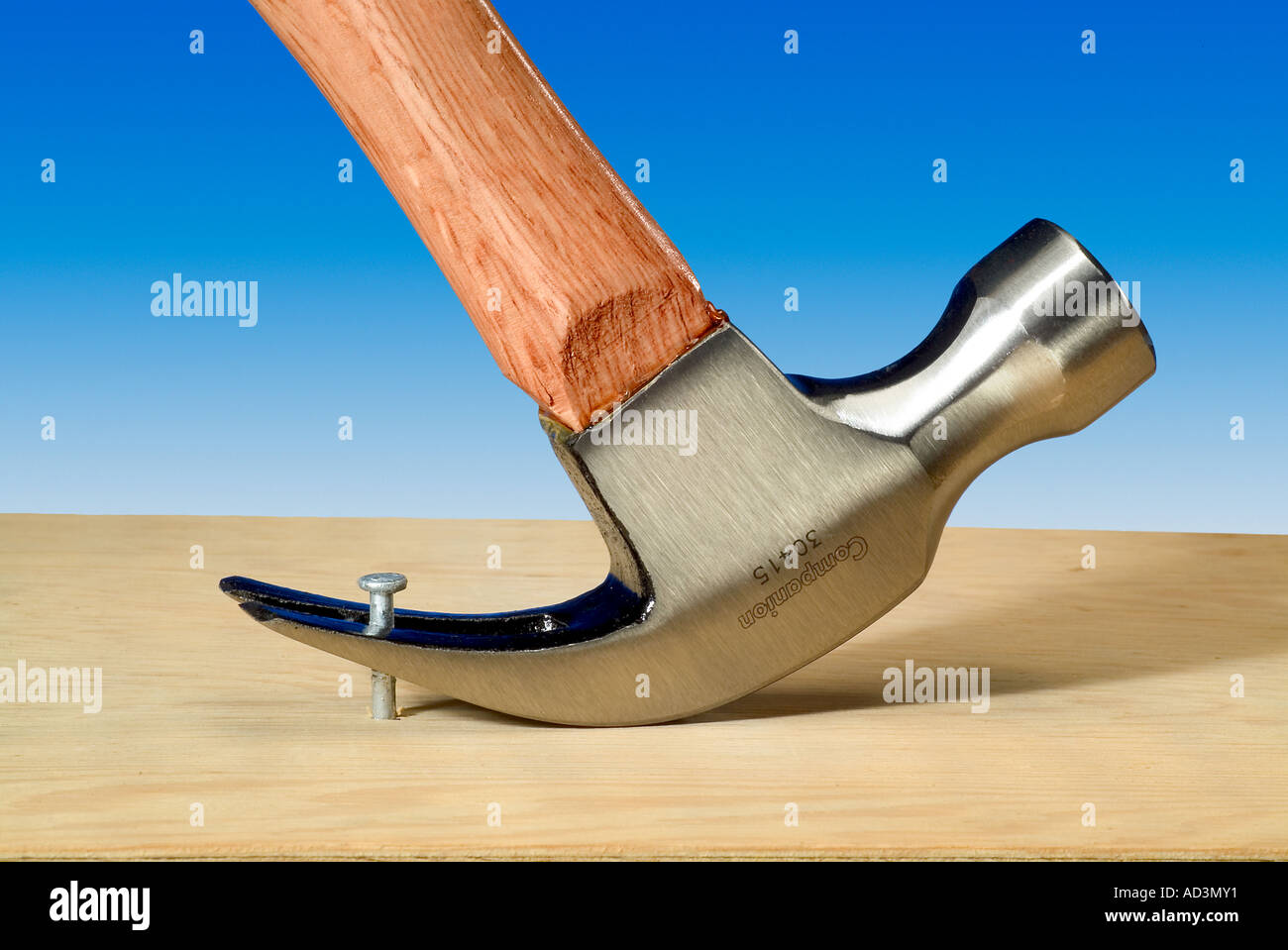 Martello da carpentiere chiodo di trazione Foto Stock