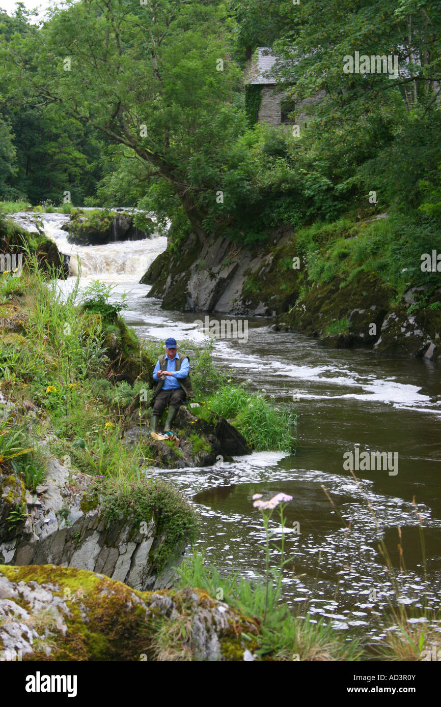 La pesca nel fiume Teifi Cenarth in Galles, Carmarthenshire, Galles del Sud Foto Stock