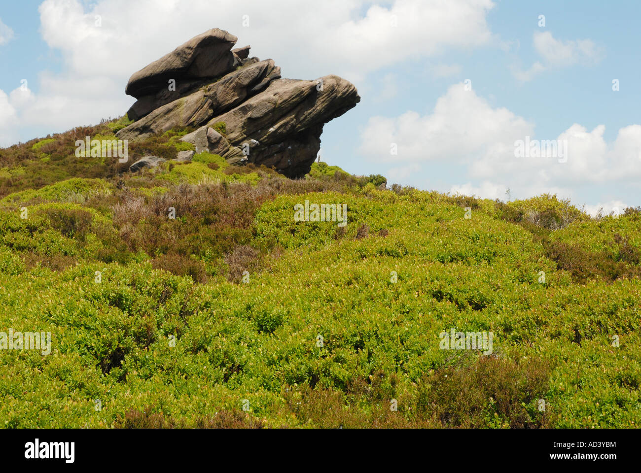 Mirtilli neri la copertura di una collina con una interessante formazione di roccia Foto Stock