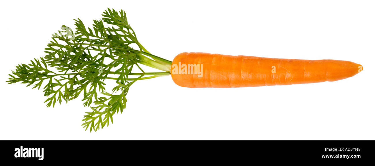 Solo la carota tagliata Foto Stock