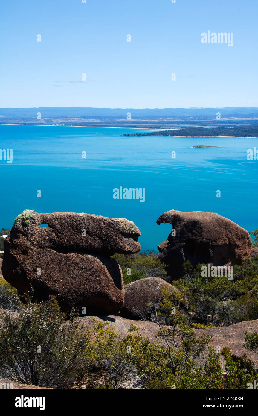 Australia Tasmania Parco Nazionale di Freycinet Penisola di Freycinet Coles Bay a forma di animale rocce del Monte Amos Foto Stock