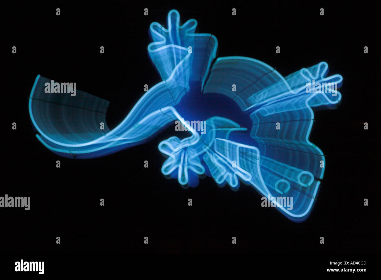Neon Blue gecko segno - Mackay Queensland Australia Foto Stock
