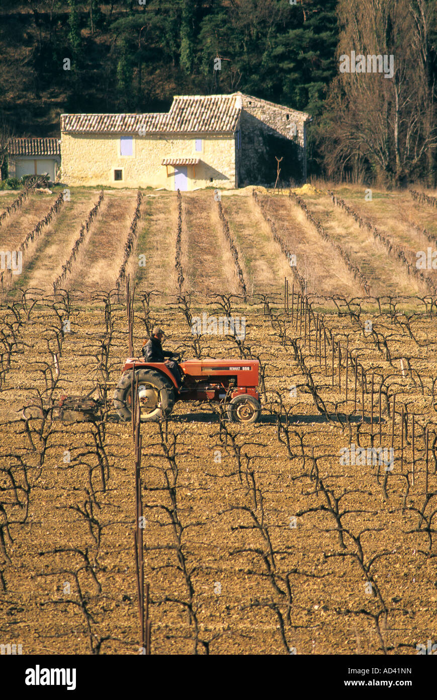 Il trattore in un vigneto in Provenza, Francia Foto Stock