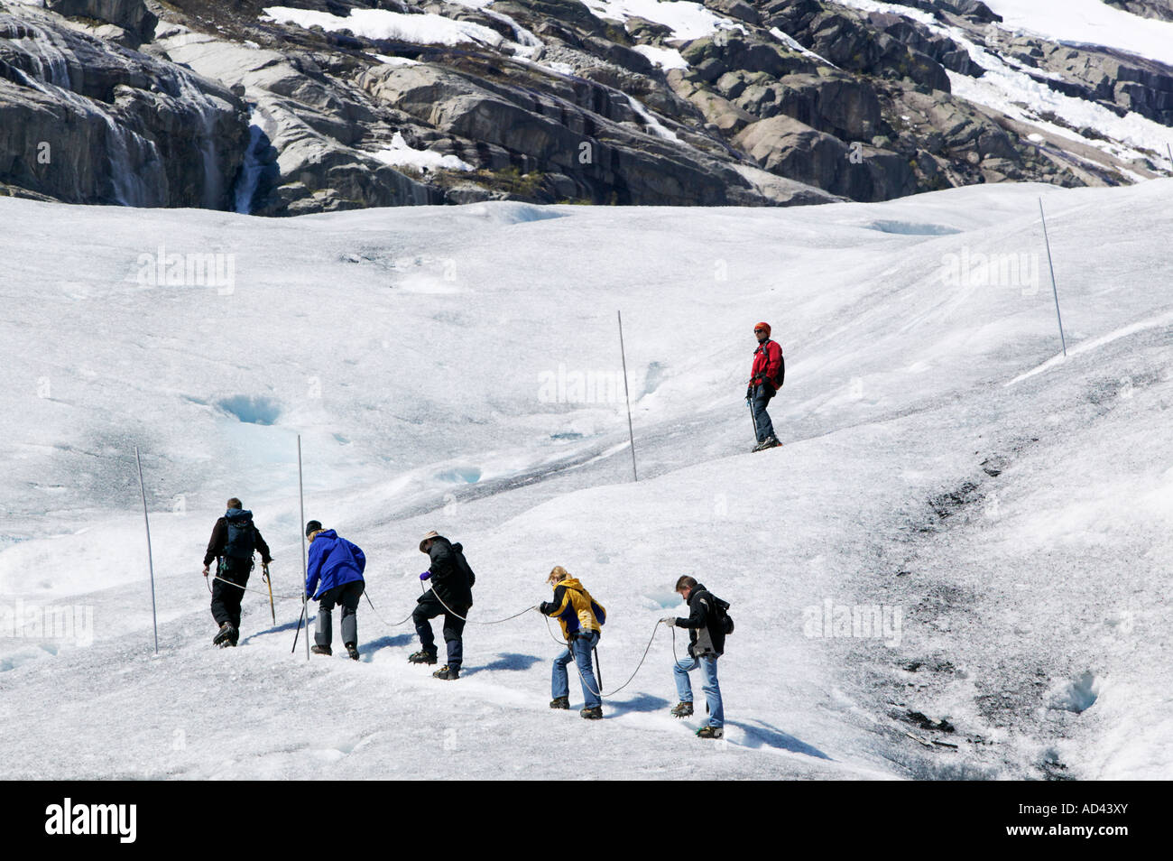 Passeggiata guidata sul ghiacciaio Nigardsbreen nel Jostedalsbreen Parco Nazionale di lucentezza Sogn og Fjordane Norvegia Foto Stock