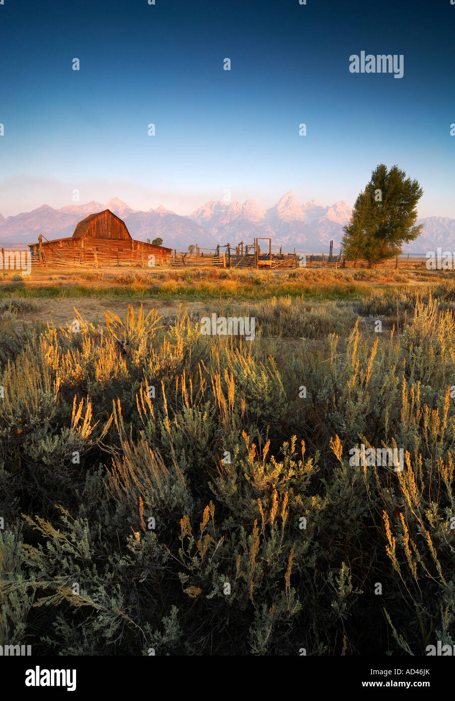 Moulton Farm, Grand Teton National Park, Wyoming, Stati Uniti d'America Foto Stock
