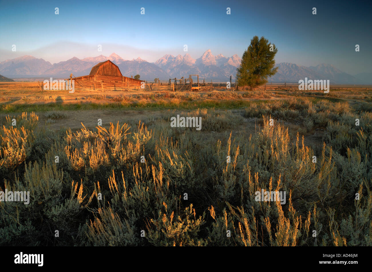 Moulton Farm, Grand Teton National Park, Wyoming, Stati Uniti d'America Foto Stock