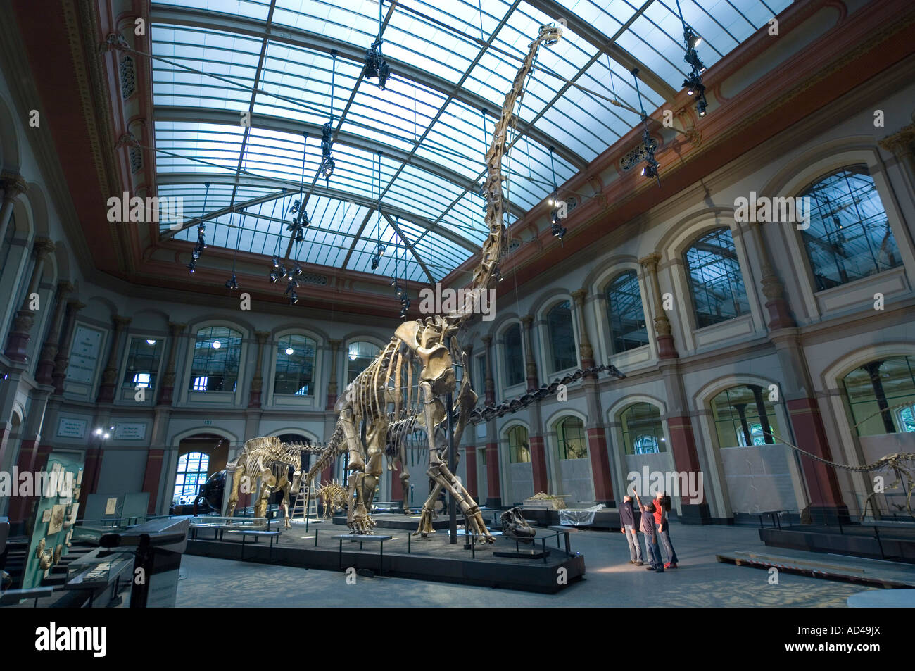Sala dei dinosauri, bambini, il Museo di Storia Naturale di Berlino, Germania Foto Stock