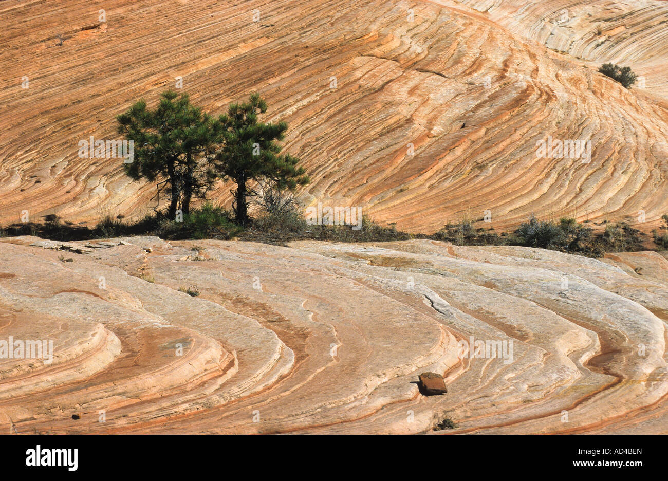 Le rocce in grande scala Escalante, monumento nazionale, Utah, Stati Uniti d'America, STATI UNITI D'AMERICA Foto Stock
