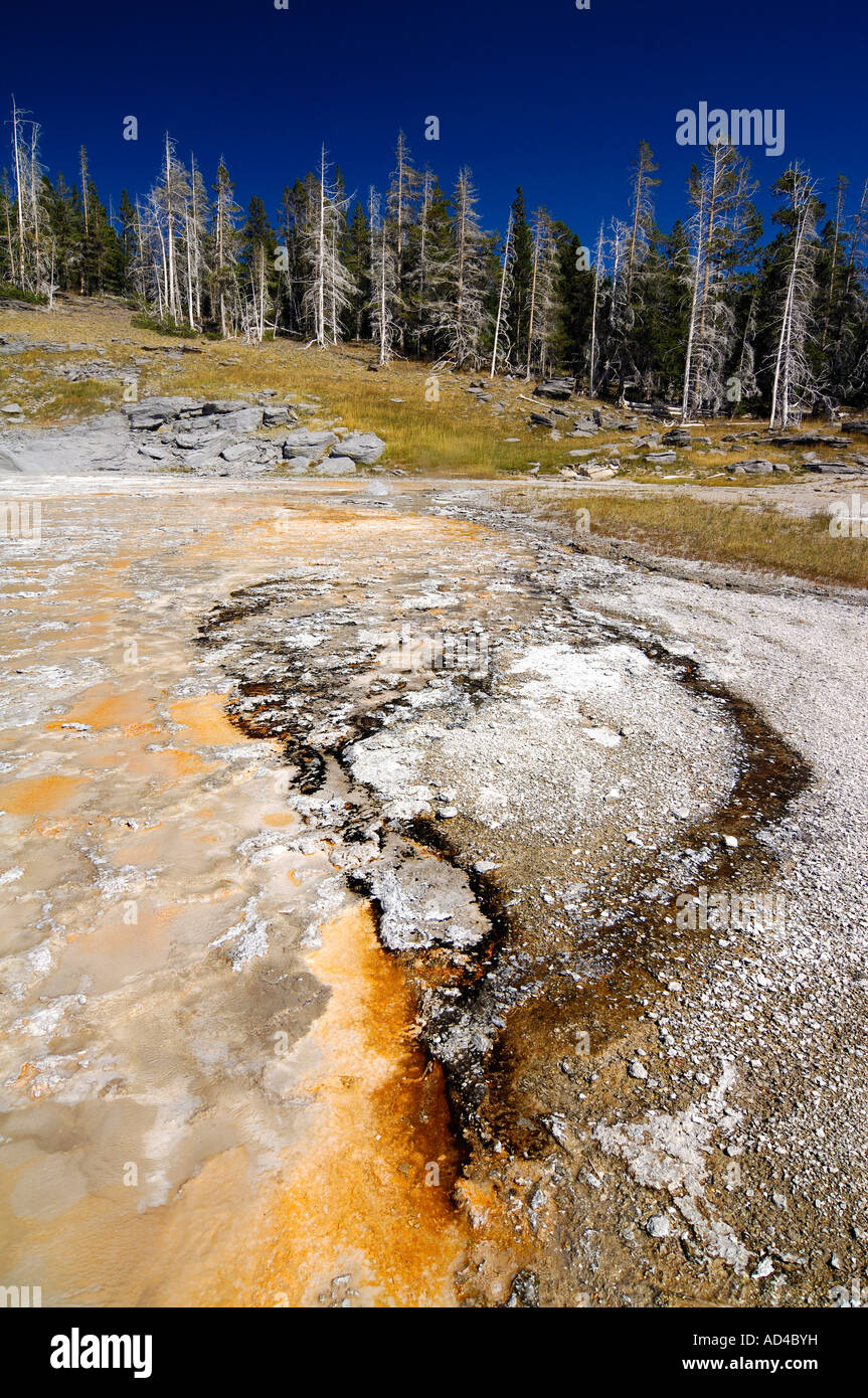 Stampo di fango, batteri termofili, geyser scarica, il Parco nazionale di Yellowstone, Wyoming USA Foto Stock