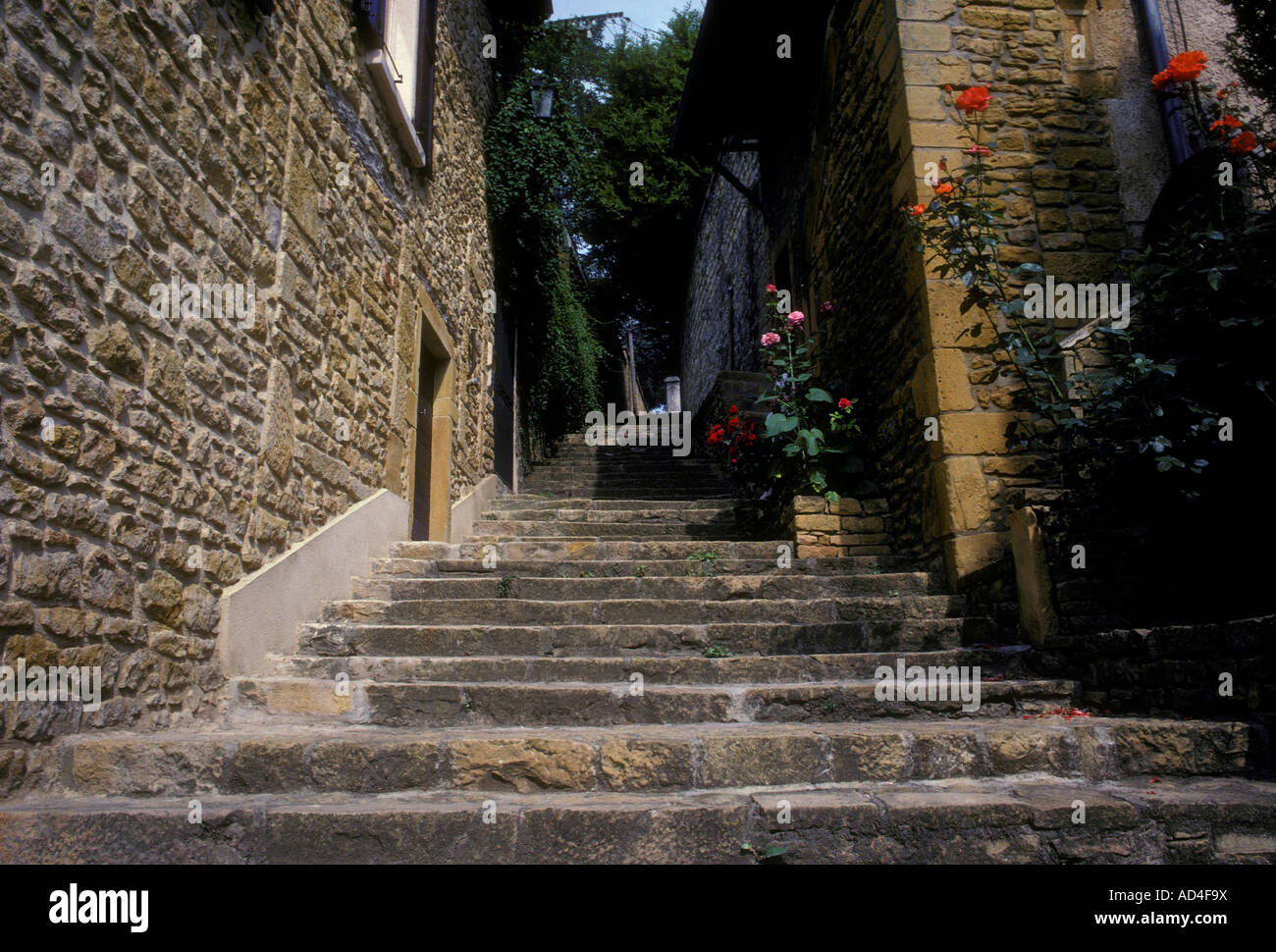 Scala di gradini scale lungo il vicolo strada stretta Chatillon d'Azergues Rhone-Alpes Francia Europa Foto Stock