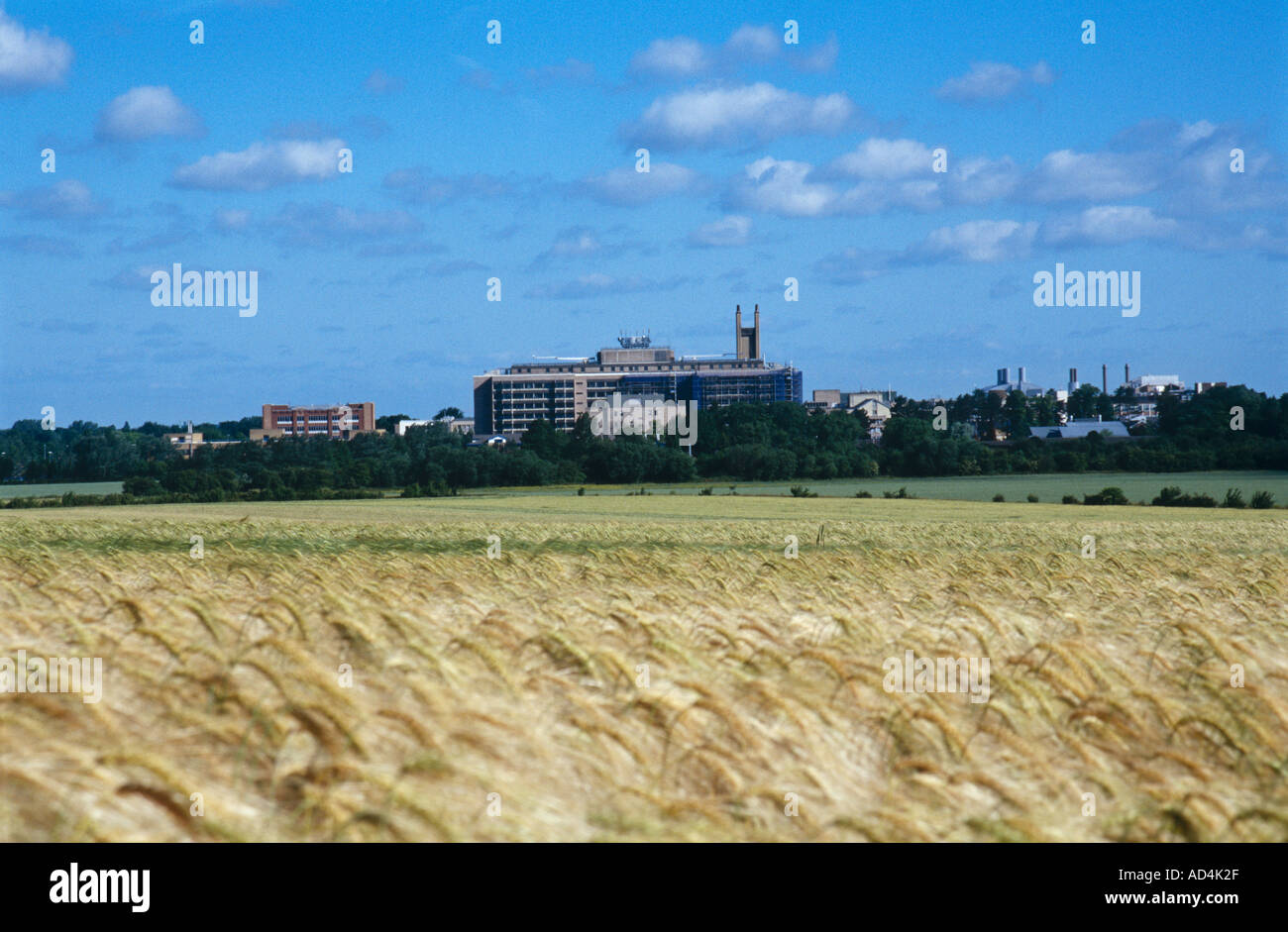 Nuovo ospedale Addenbrookes cercando su terreni agricoli Foto Stock