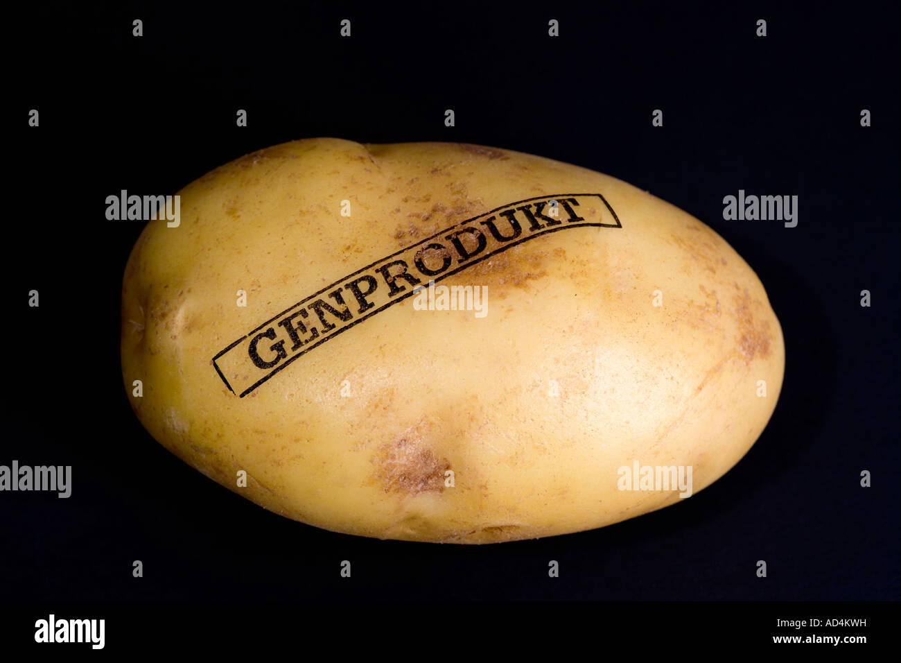 Una patata geneticamente modificato Foto Stock