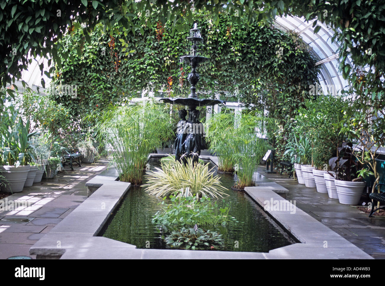 Stati Uniti d'America New York Giardino Botanico Conservatorio Bronx Foto Stock