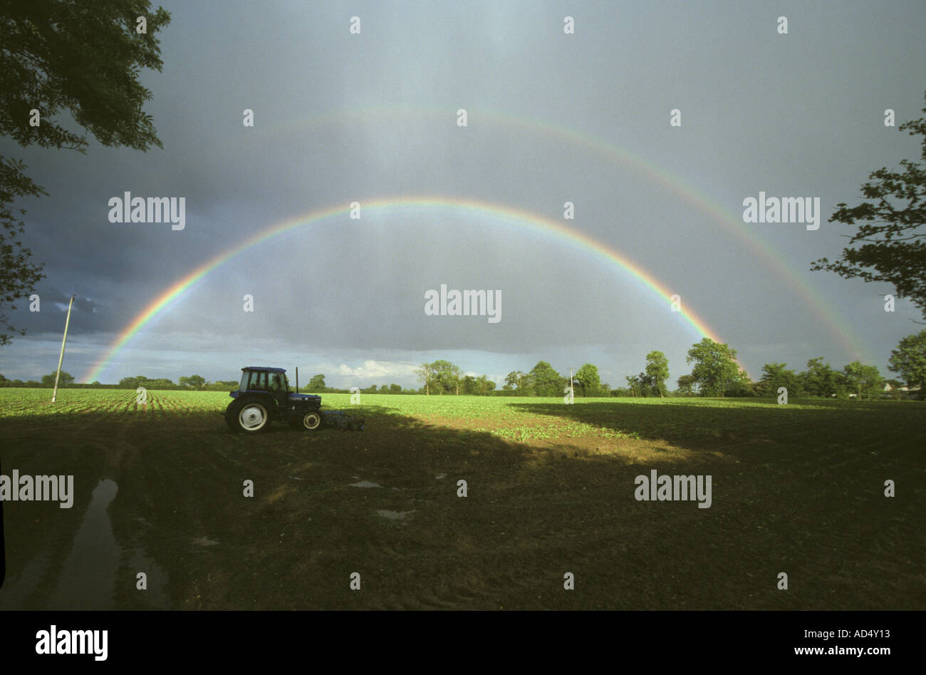 Arcobaleno Arcobaleno doppio su barbabietola da zucchero campo Foto Stock