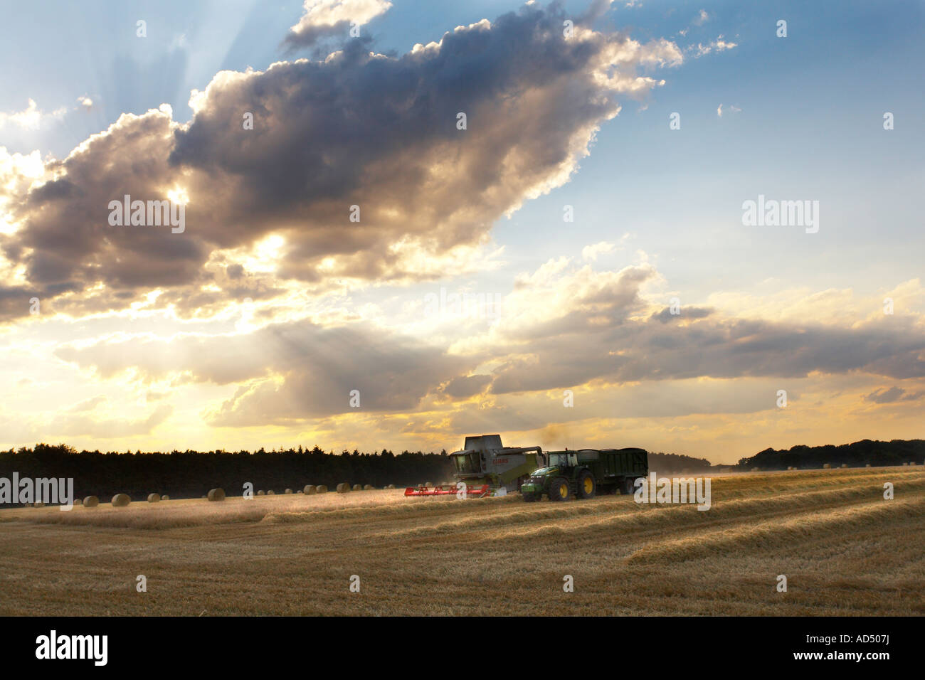 Mietitrebbia al lavoro al crepuscolo in Norfolk, Regno Unito Foto Stock