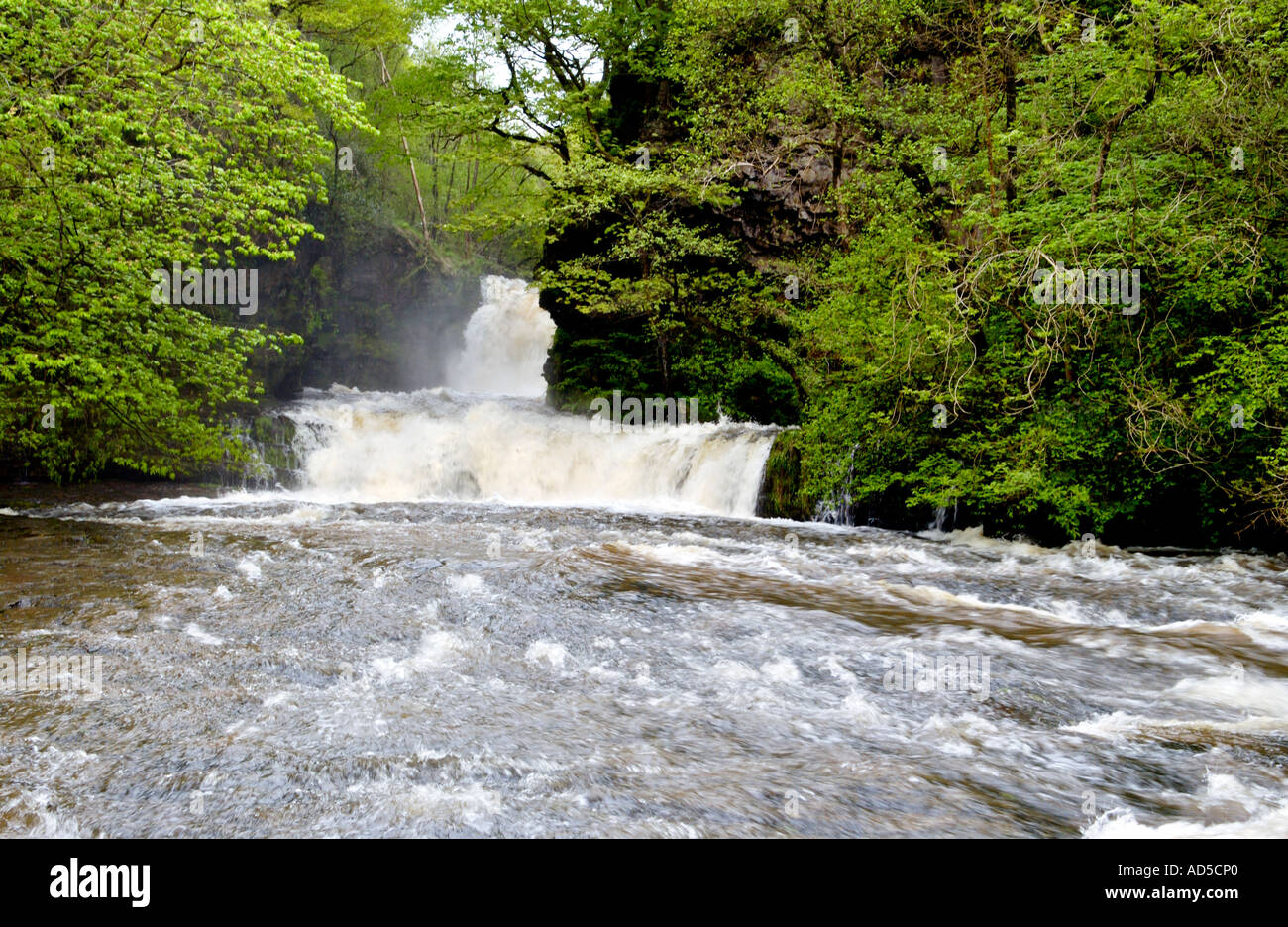 Abbassare Sgwd Ddwli cascata sul Nedd Fechan Pontneddfechan fiume South Wales UK Foto Stock