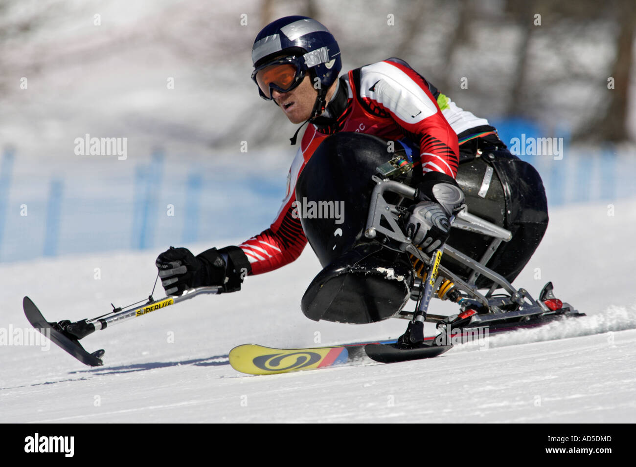 Thomas Bechter dell'Austria nella mens Sci Alpino Slalom Gigante seduta la concorrenza Foto Stock
