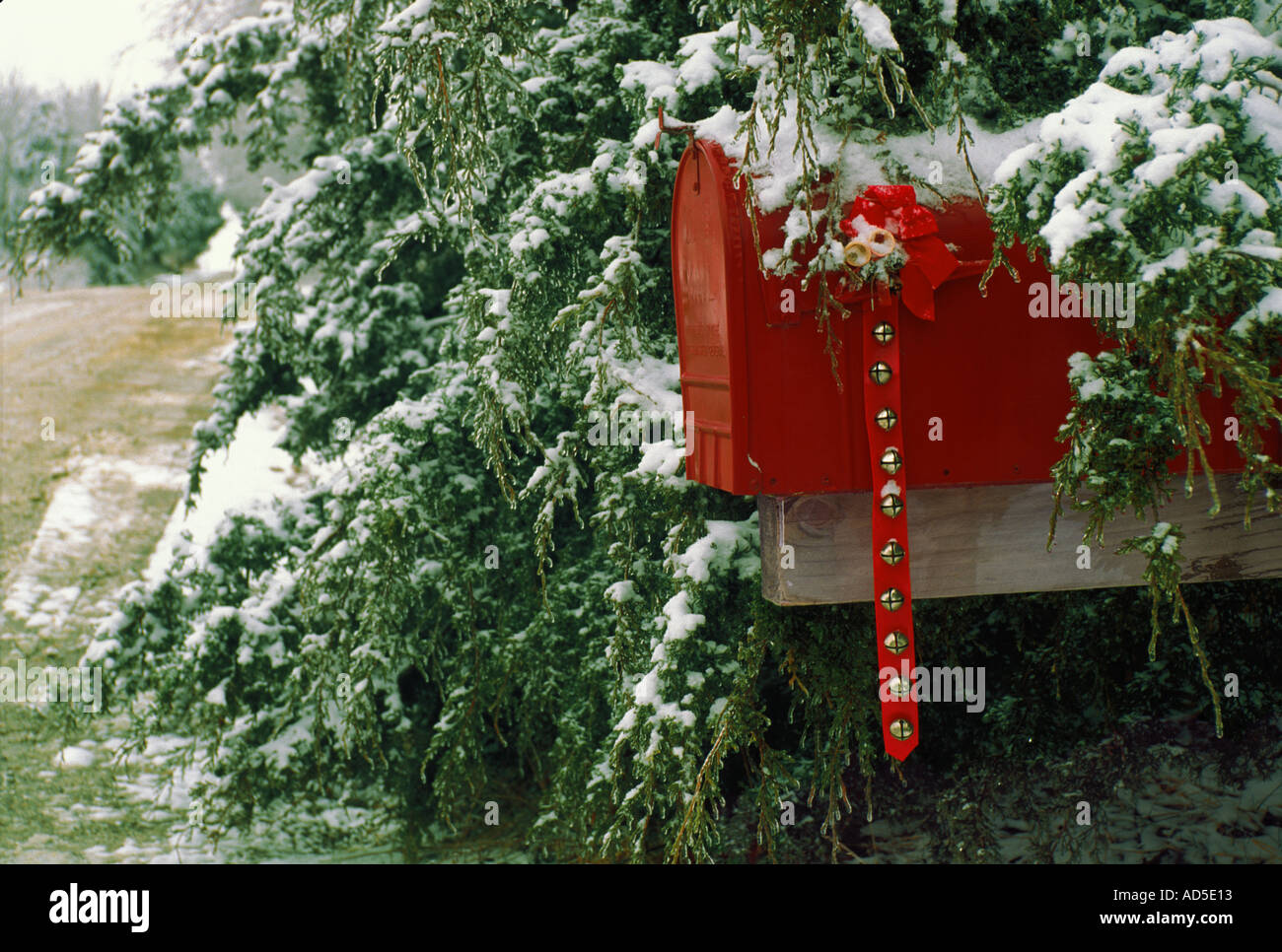 Grande cassetta postale rosso decorato per il Natale con le campane e archi nascosto in cedro nevoso sulla strada di campagna, Missouri USA Foto Stock