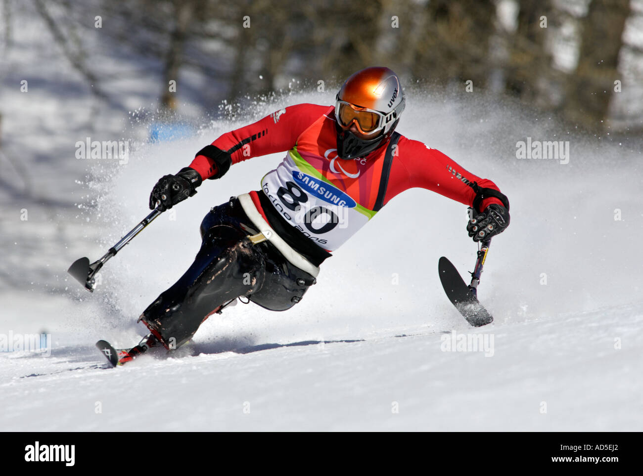 Jaroslav Rola della Polonia nella mens Sci Alpino Slalom Gigante seduta la concorrenza Foto Stock