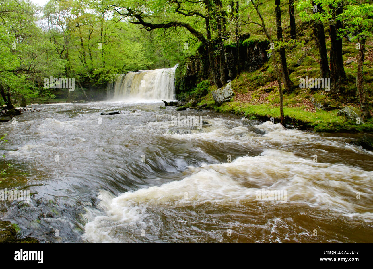 Superiore Ddwli Sgwd cascata con un grande volume di acqua che fluisce oltre cade su Nedd Fechan river vicino Pontneddfechan South Wales UK Foto Stock