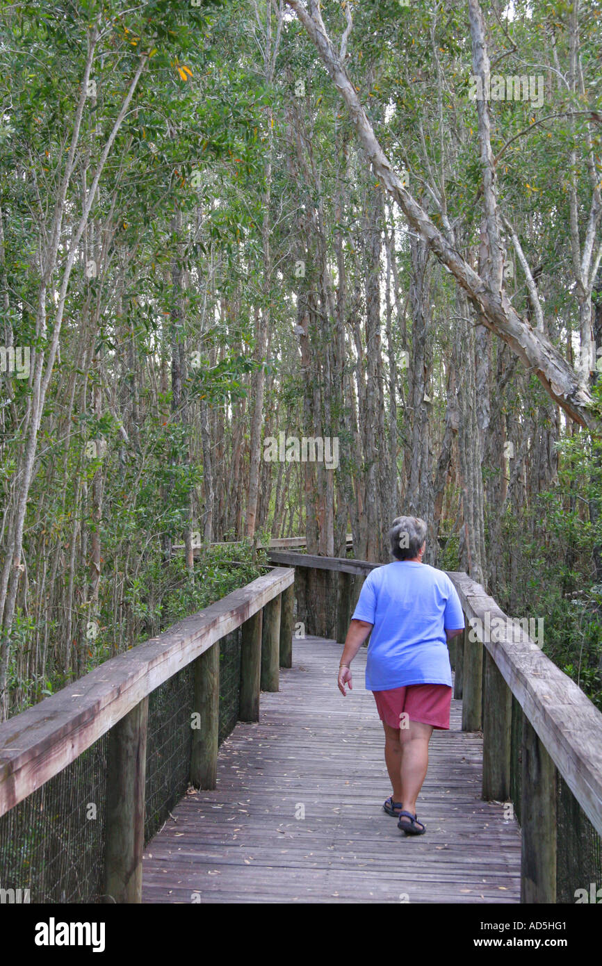 Questa passerella rende un buon modo per vedere il Cypress Swamp qui a Seminole Big Cypress Prenotazione in Florida Foto Stock