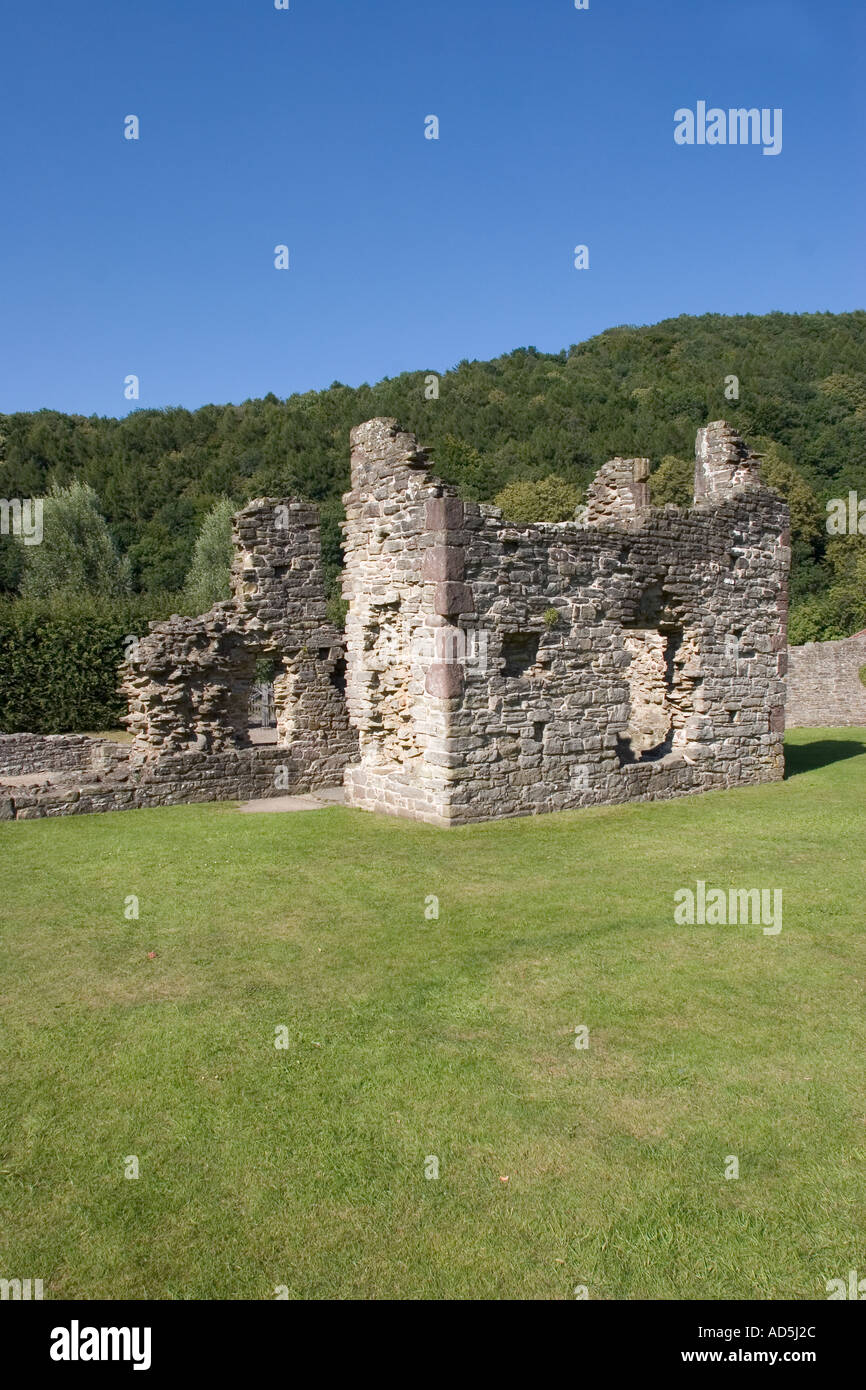 Infermeria e cucine Tintern Abbey motivi Wye Valley Gwent Wales UK Foto Stock