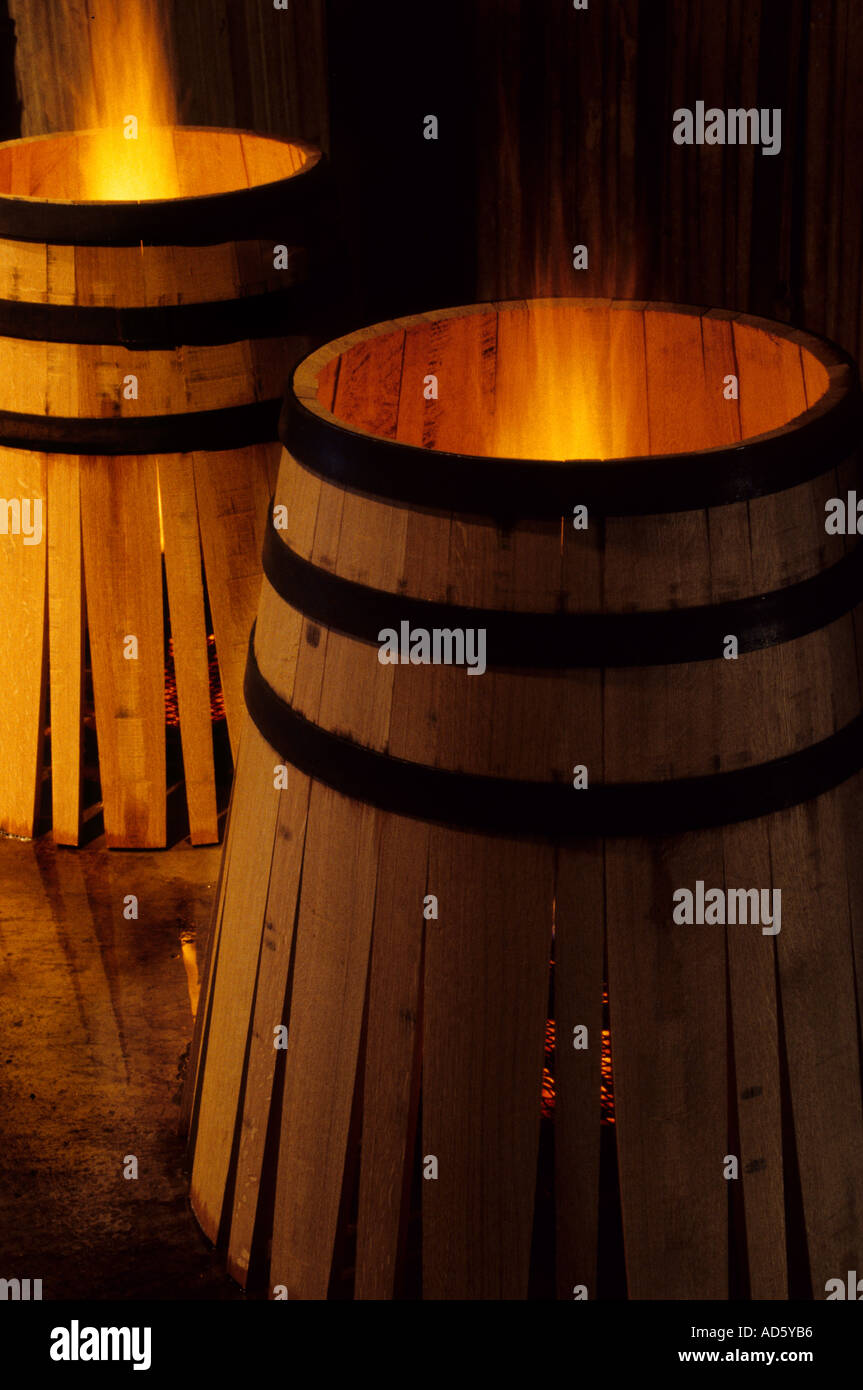 Barileria cognac whisky vino Porto Botte canna fire Foto Stock
