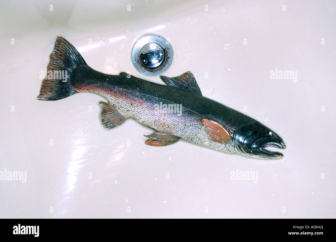 Fake (gomma) pesce nel lavello Foto Stock