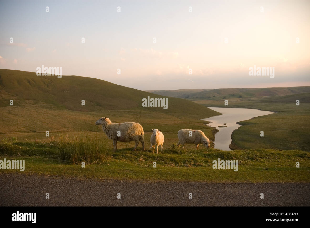 Vista di Elan Valley, Powys, Wales, Regno Unito. Foto Stock