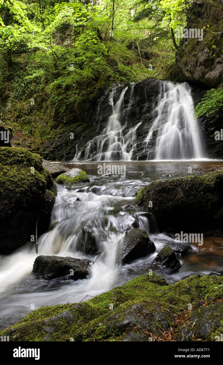 Fairy Glen cascate, Rosemarkie, Black Isle, altopiani, Scozia Foto Stock