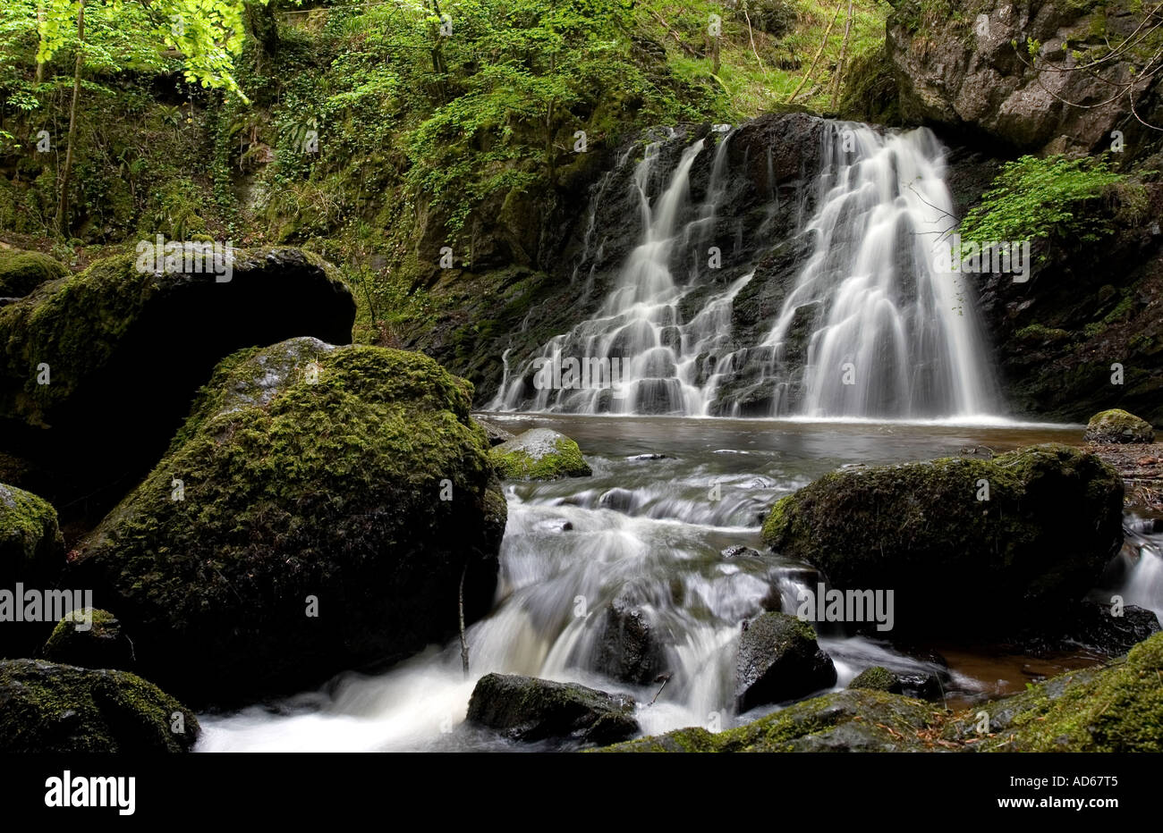 Fairy Glen cascate, Rosemarkie, Black Isle, altopiani, Scozia Foto Stock