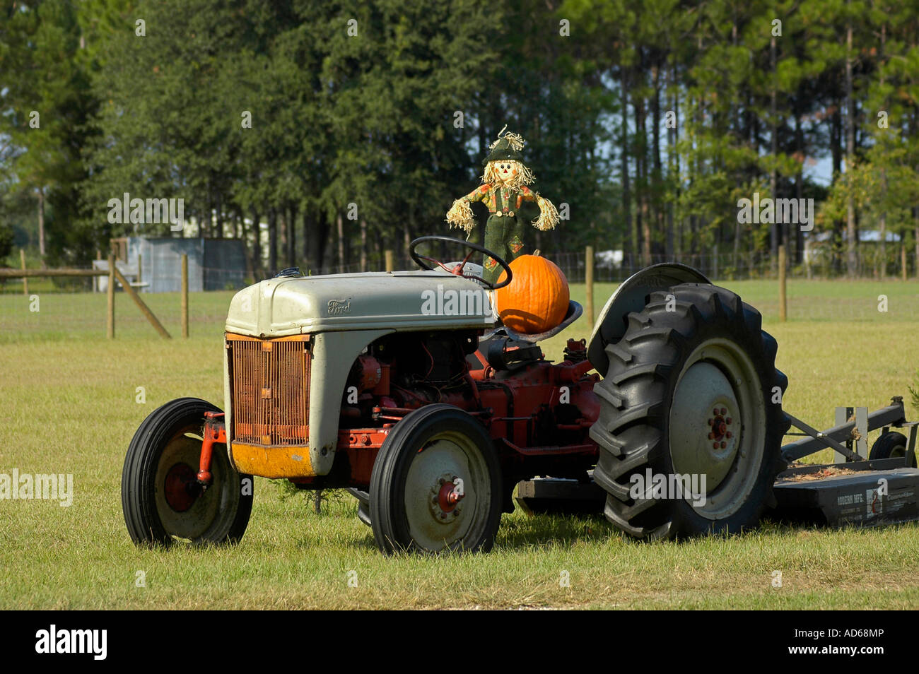 Trattore agricolo con l'autunno di zucca fatta in uno spaventapasseri Foto Stock