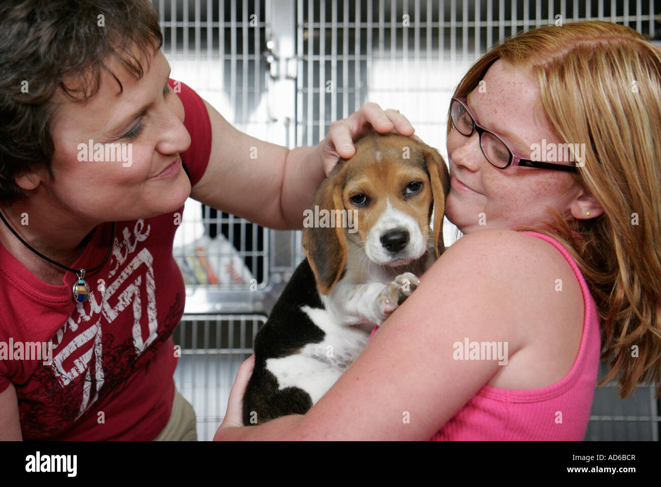 Newport News Virginia,Peninsula SPCA adozione animale domestico,ragazza ragazze,giovane,femmina bambini bambini madre,genitore,genitori,cane,animale domestico,canino,animale,aquila,gabbia,VA Foto Stock