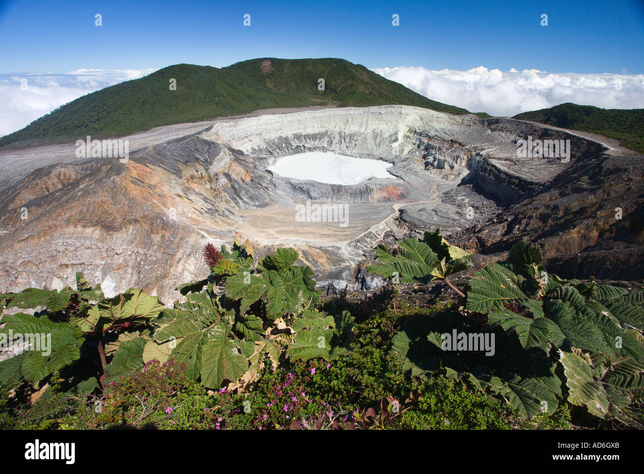 Spettacolari ad alta altitudine paesaggio guardando da rim nel cratere e fango-Lago del Vulcano Poas Costa Rica in America centrale Foto Stock