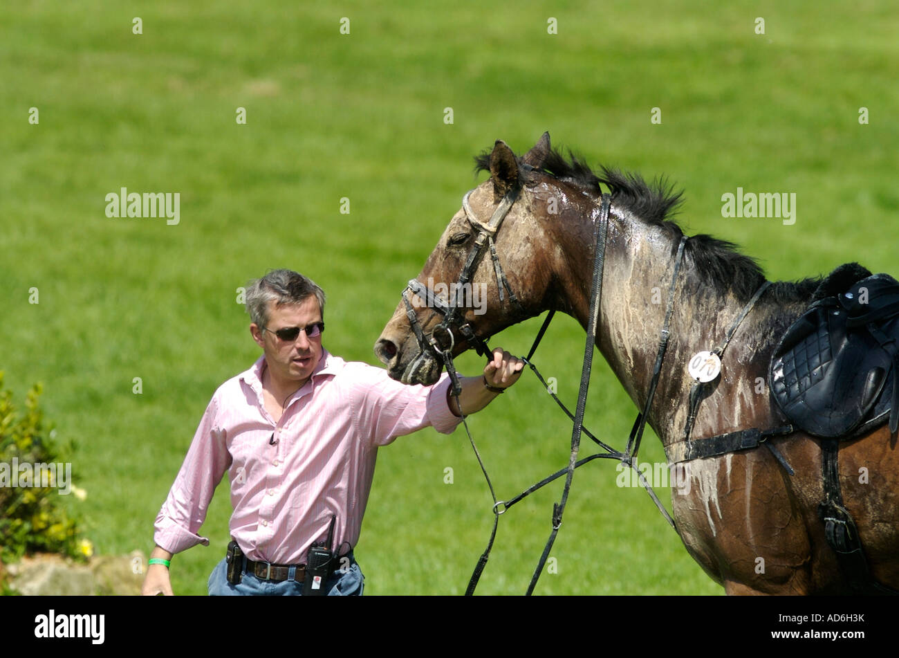 Calibro dopo la sua caduta Bramham International Horse Trials 09 06 2007 Bramham Park Yorkshire Foto Stock