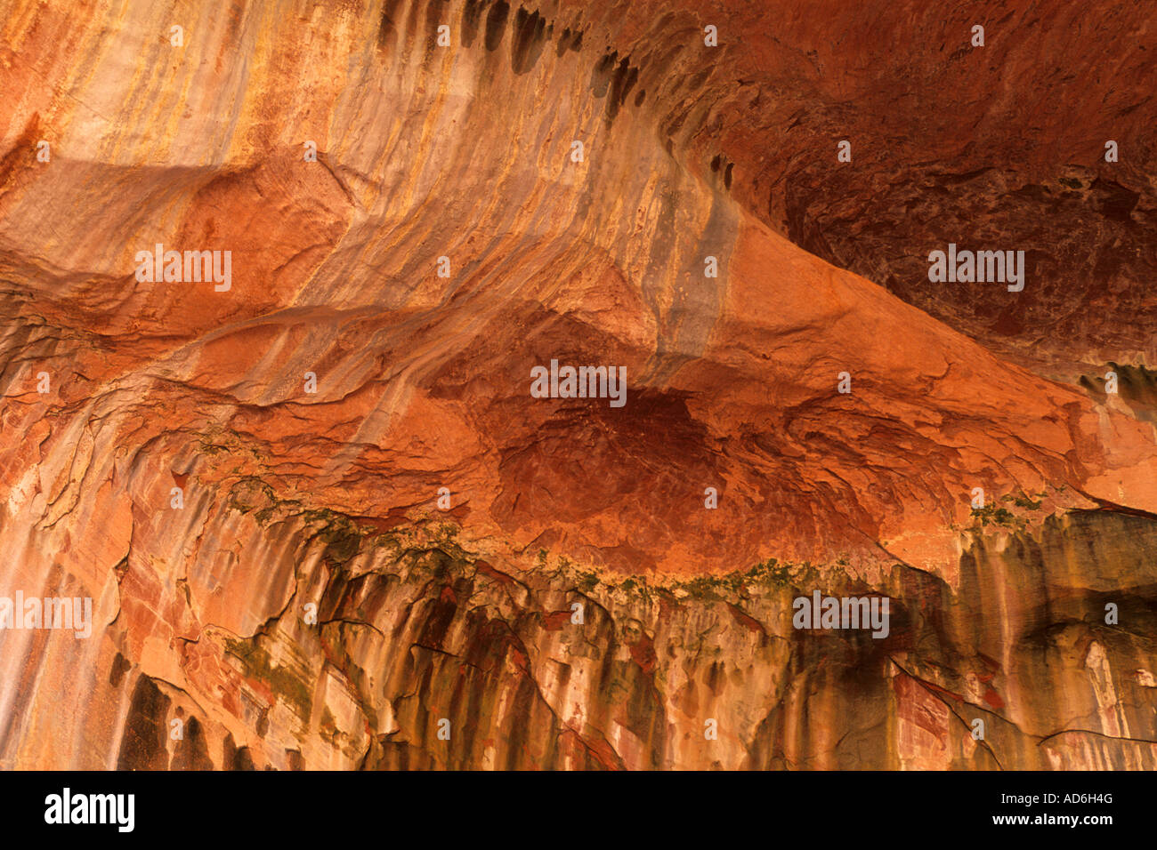Dettaglio astratta della doppia arcata alcova lungo il Taylor Creek Trail Kolob Canyon Zion National Park nello Utah Foto Stock