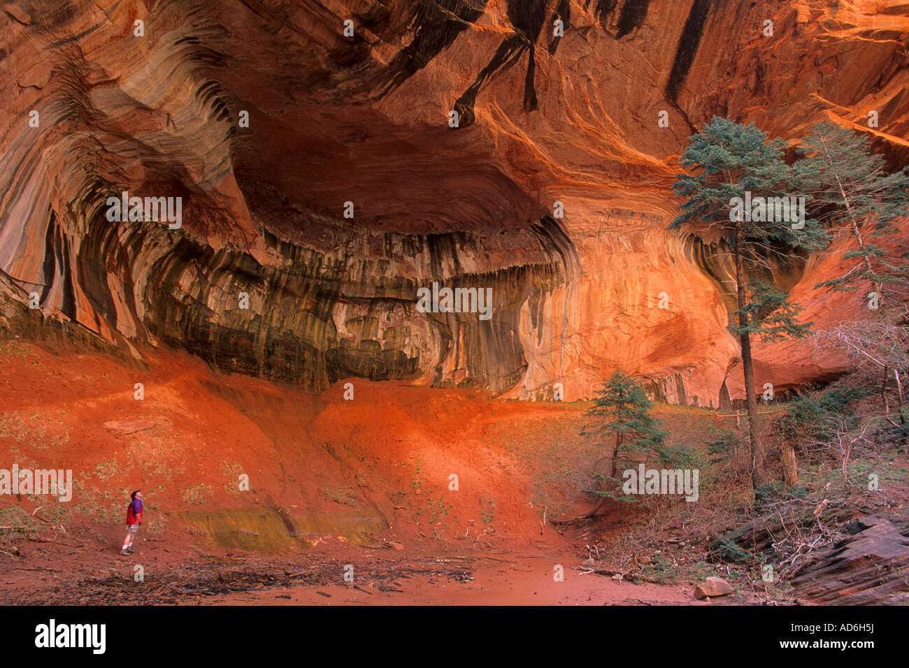 Escursionista in doppia arcata alcova lungo il Taylor Creek Trail Kolob Canyon Zion National Park nello Utah Foto Stock