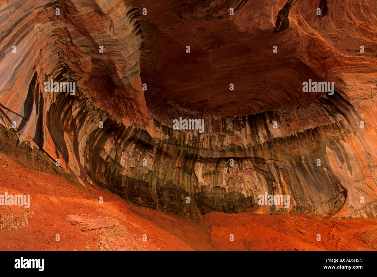 Il doppio arco alcova dettaglio lungo il Taylor Creek Trail Kolob Canyon Zion National Park nello Utah Foto Stock