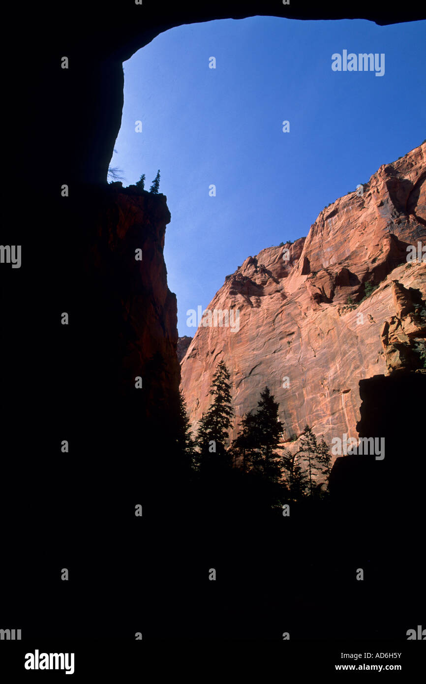 La parete del canyon come si vede dalla doppia arcata alcova Taylor Creek Trail Kolob Canyon Zion National Park nello Utah Foto Stock