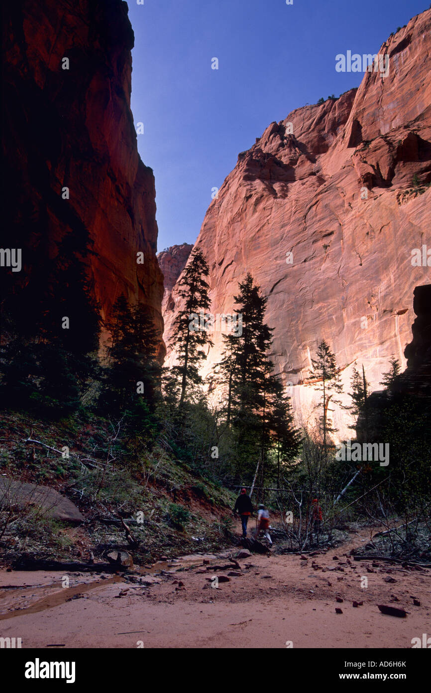 Il Red Rock Canyon pareti come si vede dalla doppia arcata alcova Taylor Creek Trail Kolob Canyon Zion National Park nello Utah Foto Stock