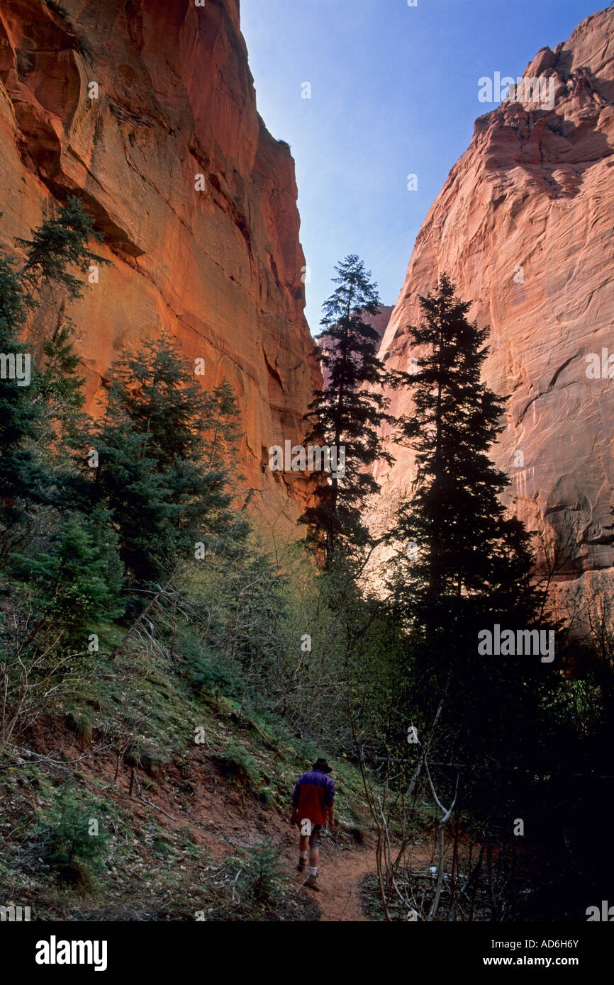 Escursionista sotto le pareti del canyon vicino a doppia arcata alcova Taylor Creek Trail Kolob Canyon Zion National Park nello Utah Foto Stock