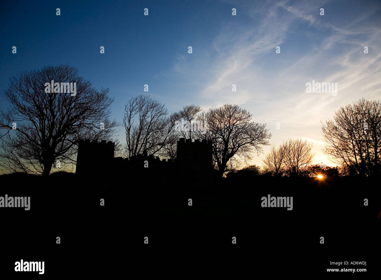 Vecchia follia a corona, a Baile Mhic Airt inferiore, anello, Gaeltacht (Gaelico parlando di area), nella contea di Waterford, Irlanda Foto Stock