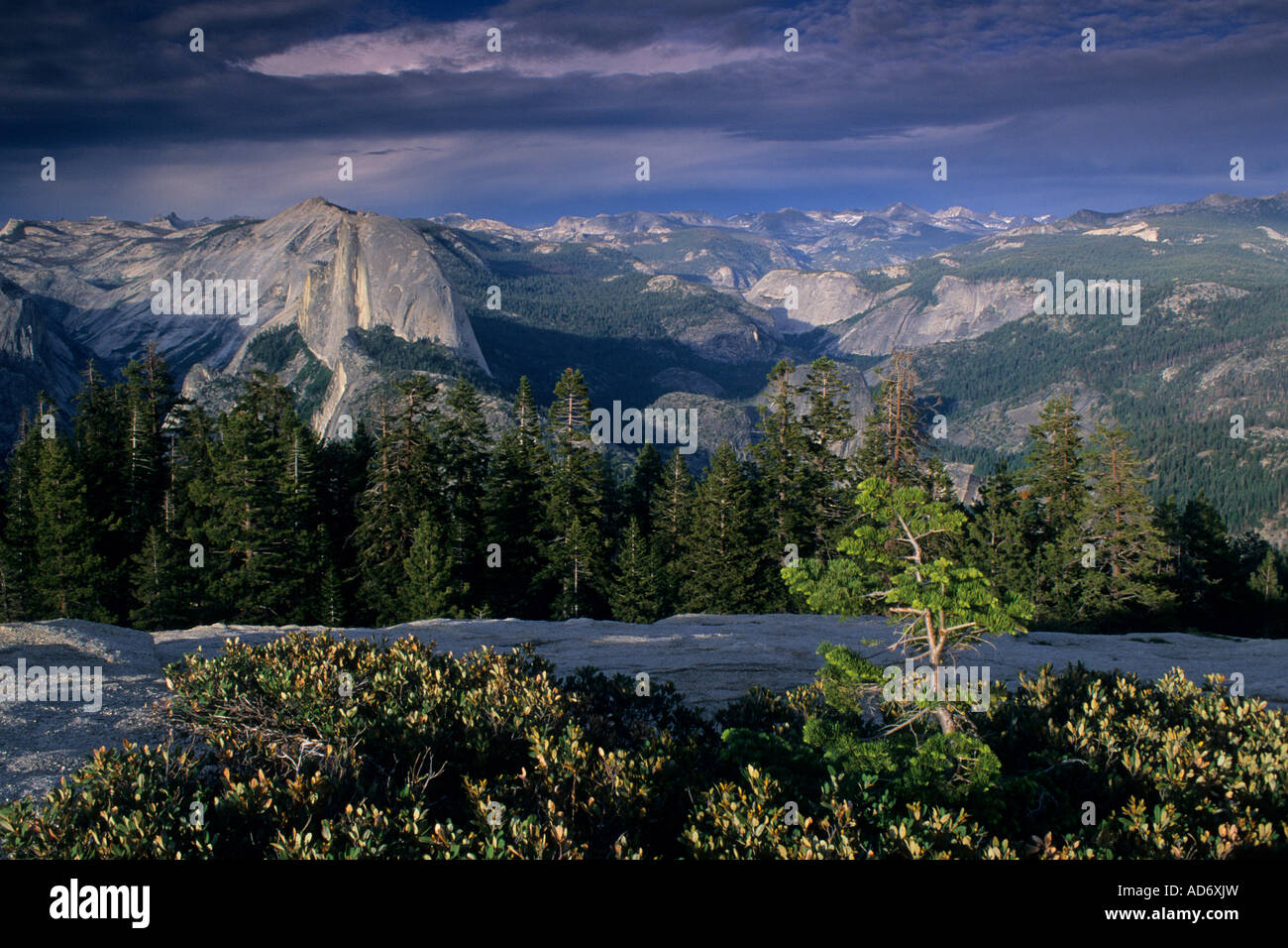 La luce del tramonto attraverso le nuvole sulla mezza cupola con e per i giovani pini a cupola Sentinel Yosemite National Park in California Foto Stock