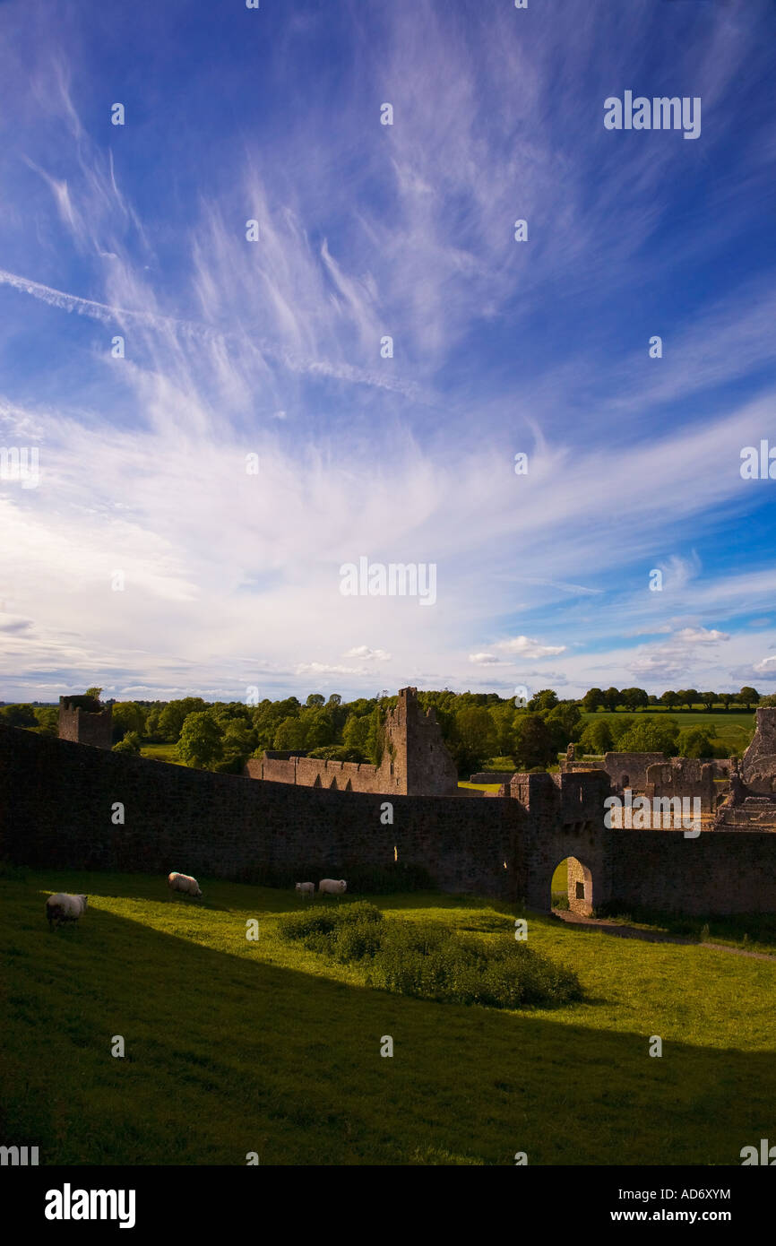 Xv secolo St Mary's Augustian Priory. Torre medievale di case lungo le pareti danno il nome 'Sanche Castelli", Kells, nella Contea di Kilkenny, Irlanda Foto Stock