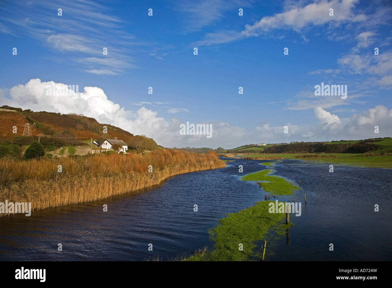 Fiume allagata Anne, Annestown Village, rame Costa, nella contea di Waterford, Irlanda Foto Stock