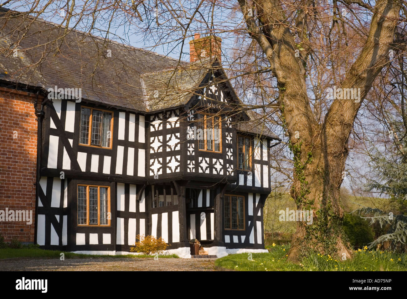 "La struttura di legno" in bianco e nero del xvii secolo Vicarage 1616 nella storica premiato village Berriew Aberriw Powys Mid Wales UK Foto Stock