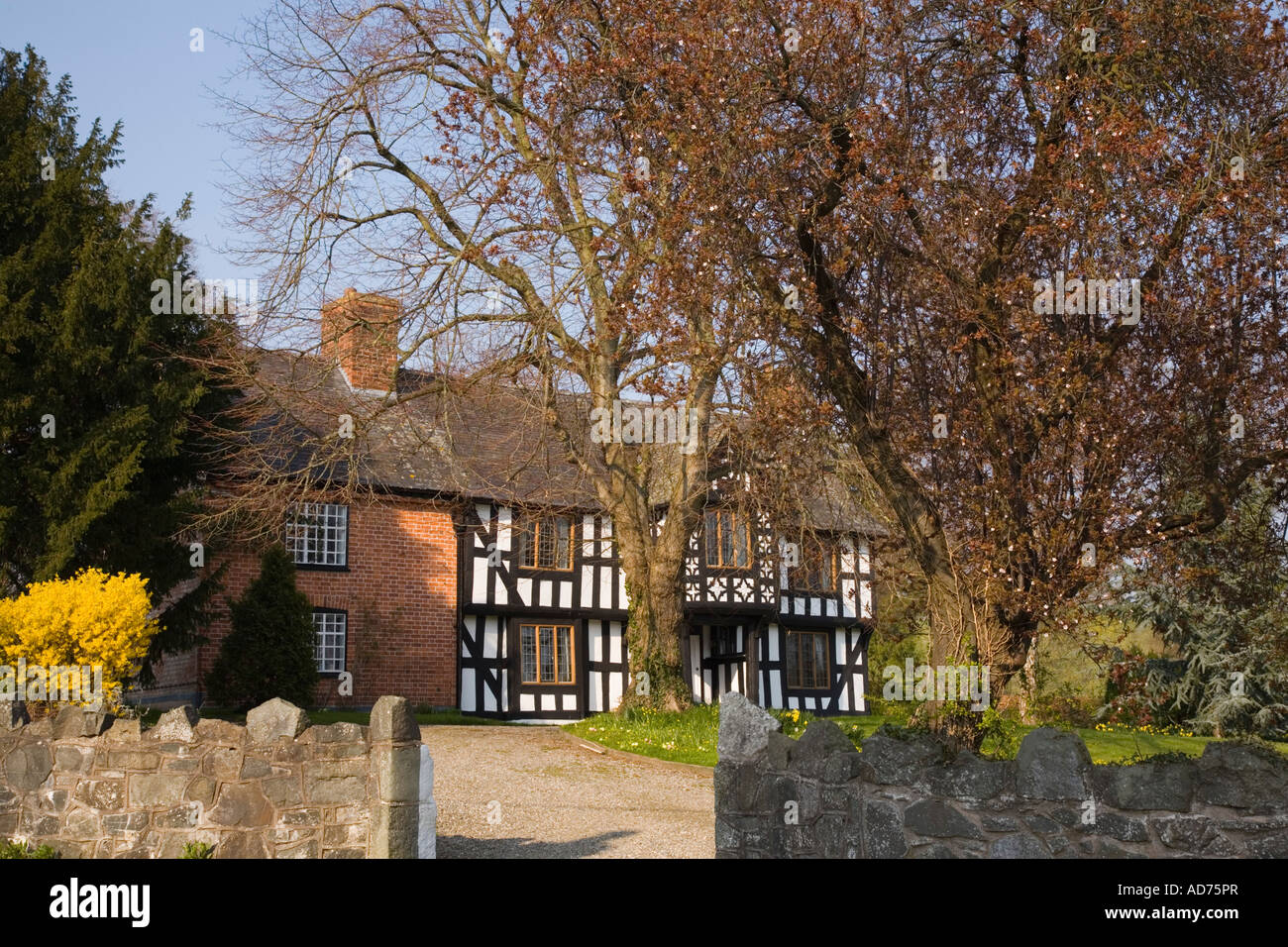 La struttura di legno bianco e nero del xvii secolo Vicarage 1616 nella storica premiato village Berriew Aberriw Powys Mid Wales UK Foto Stock